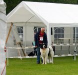 ein Bild aus dem Album